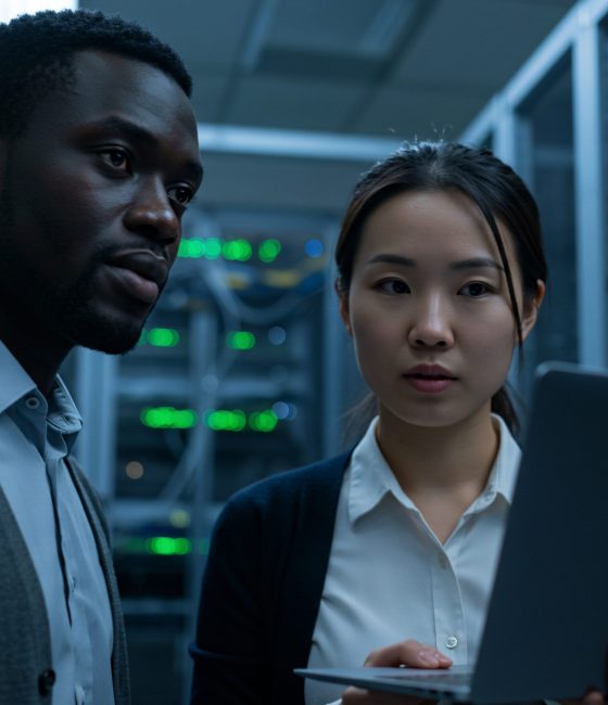 IT Professionals Inspecting Servers